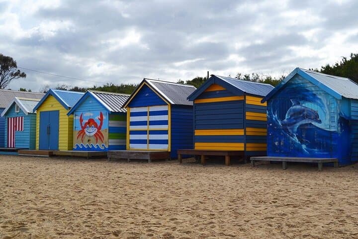 Mornington Peninsula Nature Tour: Moonlit Sanctuary, Arthurs Seat & Dendy Beach photo 4