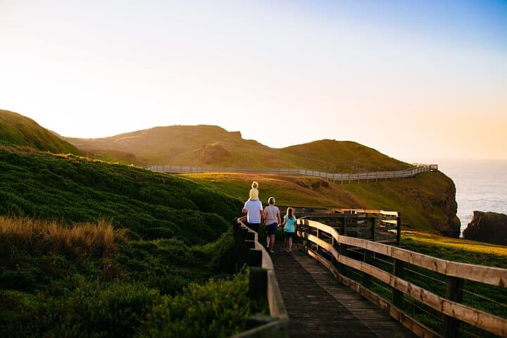 Phillip Island Penguins & Wildlife Day Tour from Melbourne photo 2