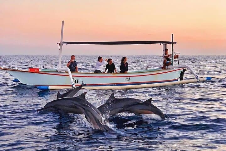 Private Lovina Dolphin Watching and Snorkeling — Full-Day Boat Tour from Bali