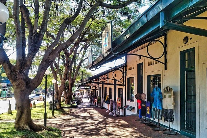 Victoria Falls Town Walking Safari: Historic Hotel, Gorge Views & Bush Wildlife photo 3