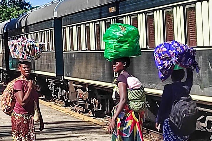 Victoria Falls Town Walking Safari: Historic Hotel, Gorge Views & Bush Wildlife photo 2