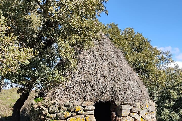 Giara di Gesturi Half-Day Trek to See Sardinia's Wild Horses photo 4