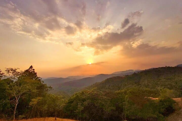Tà Năng–Phan Dũng Trek: 2-Day Ridge Walk from Highlands to Pine Forests photo 5