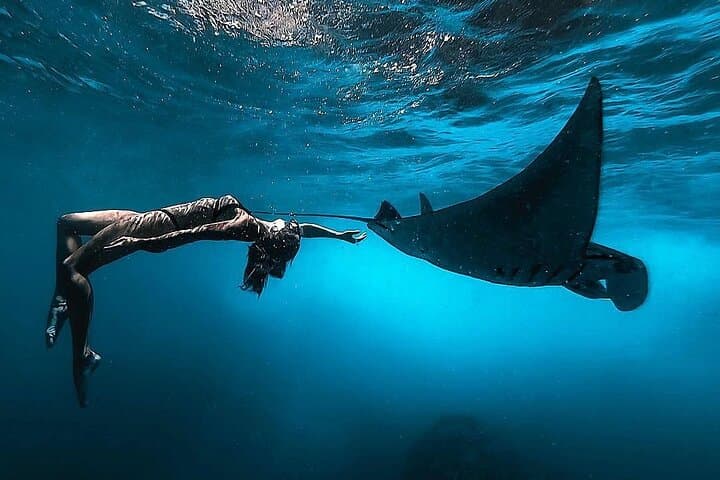 Snorkeling with Manta Rays in Nusa Penida — All-Inclusive Day Tour from Bali photo 4