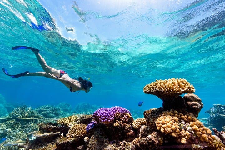 Snorkeling with Manta Rays in Nusa Penida — All-Inclusive Day Tour from Bali photo 3