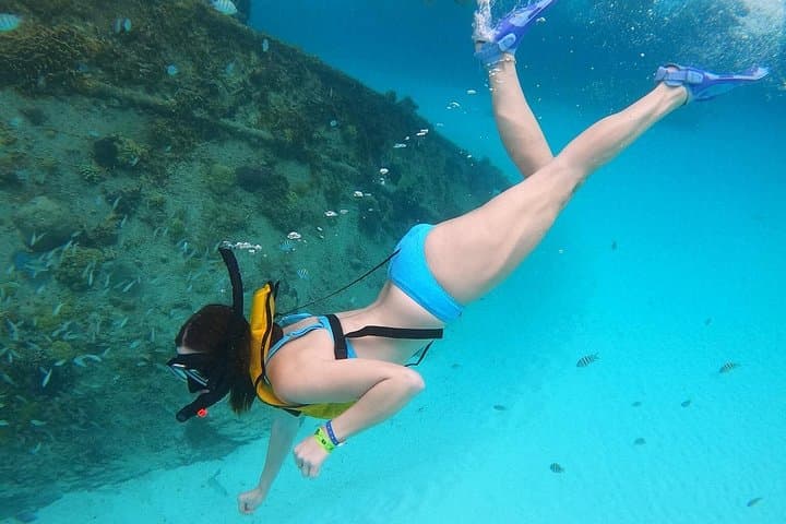 Cancun Fly & Swim: Parasail 80m Then Snorkel MUSA, Turtles & Wreck photo 3