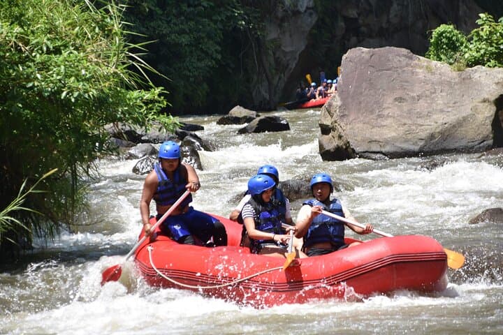 Ayung River Rafting in Ubud: 11 km Class II–III Rapids with Riverside Lunch photo 3