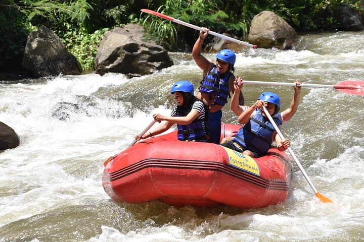 Ayung River Rafting in Ubud: 11 km Class II–III Rapids with Riverside Lunch photo 4