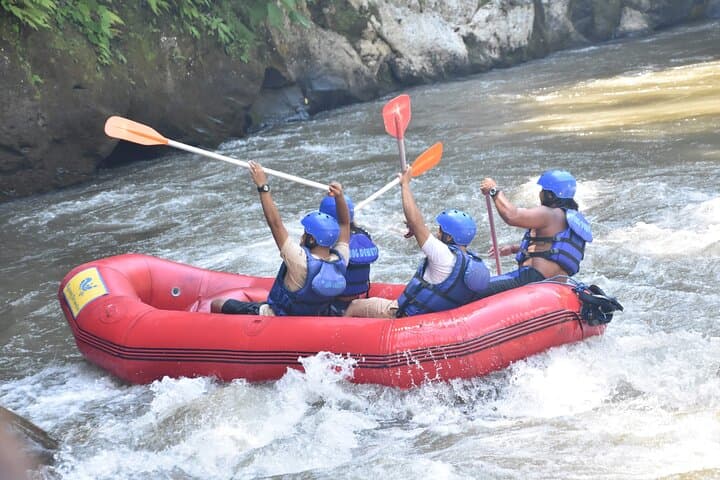 Ayung River Rafting in Ubud: 11 km Class II–III Rapids with Riverside Lunch photo 5