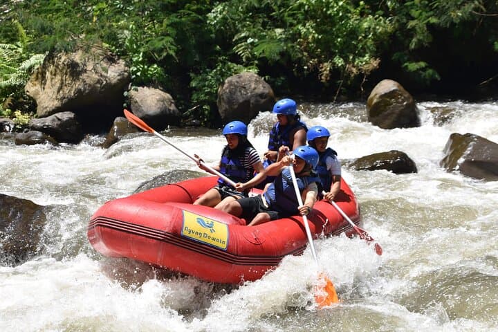 Ayung River Rafting in Ubud: 11 km Class II–III Rapids with Riverside Lunch photo 6