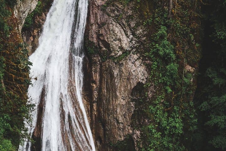 Snoqualmie Falls and Twin Falls Morning Hike: Guided Rainforest Walk from Seattle photo 5