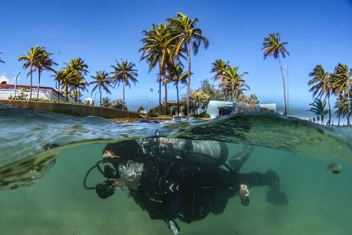 Discover Scuba Diving at Escambrón Marine Park — Beginner-Friendly San Juan Dive photo 6