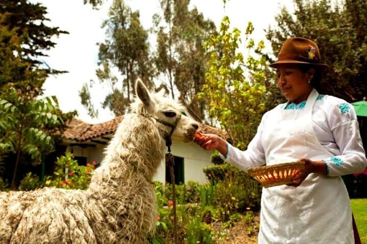 9-Day Ecuador Private Food Tour: Quito to Coast Culinary & Cultural Journey photo 6