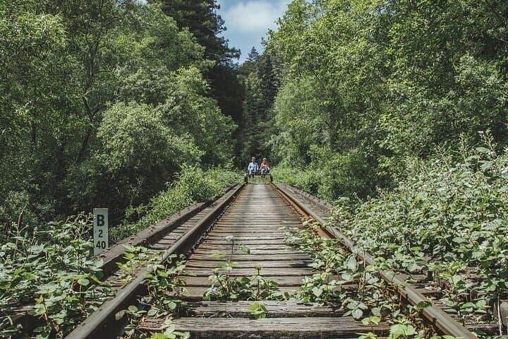 Redwoods Railbike Along Pudding Creek: Pedal the Fort Bragg Estuary photo 4