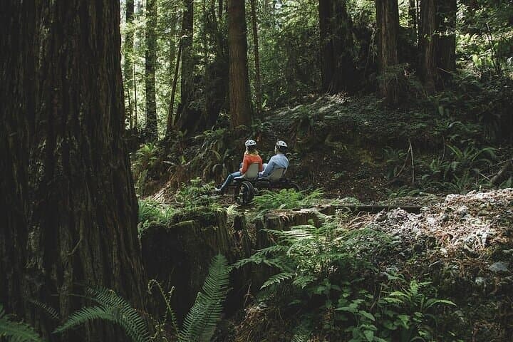Redwoods Railbike Along Pudding Creek: Pedal the Fort Bragg Estuary photo 2