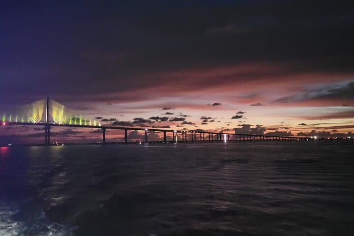 St. Petersburg Sunset Cruise: Skyway Bridge, Dolphins & Coastal Views