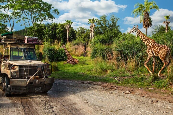 Experience Walt Disney World with Water Parks and Sports Options: A Complete Adventure Guide photo 4