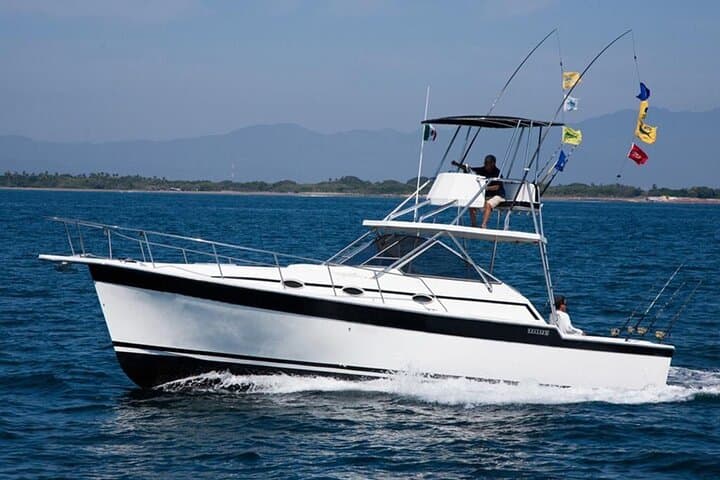 Puerto Vallarta Private Fishing Boat — 4‑Hour Guided Charter photo 2
