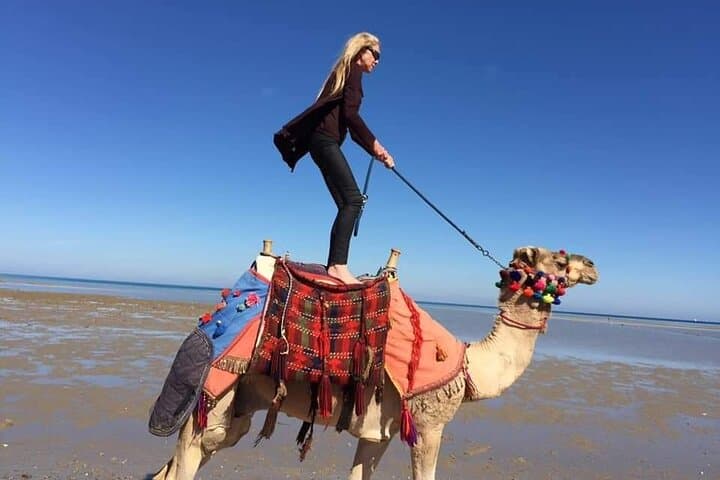 Agadir Camel and Horse Riding: Souss River Ranch & Eucalyptus Trails photo 6