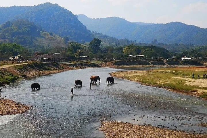 Chiang Mai Private White Water Rafting and ATV Adventure in Mae Taeng photo 6