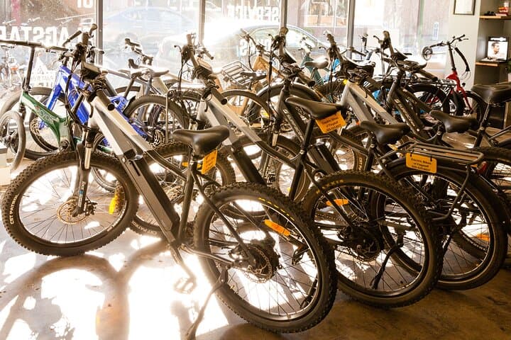 Flagstaff Electric Bike Rental: Explore 7,000 ft E-Bike Trails photo 3