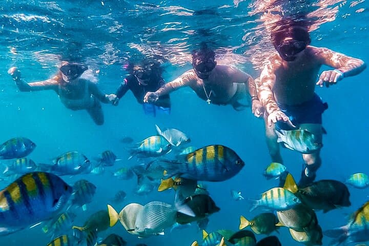 Speed-Boat Snorkel in Los Cabos: Small-Group Tour with Photos