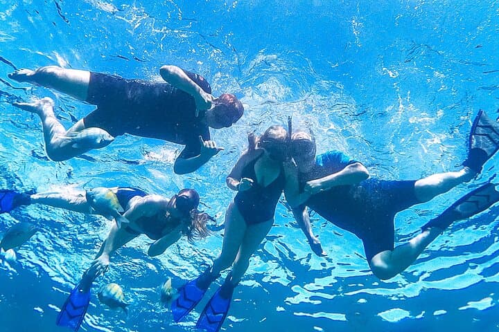 Speed-Boat Snorkel in Los Cabos: Small-Group Tour with Photos photo 5