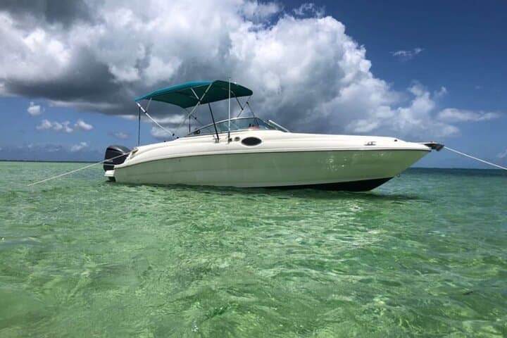 Private Stingray City & Starfish Point Half-Day Charter with Snorkeling — Grand Cayman