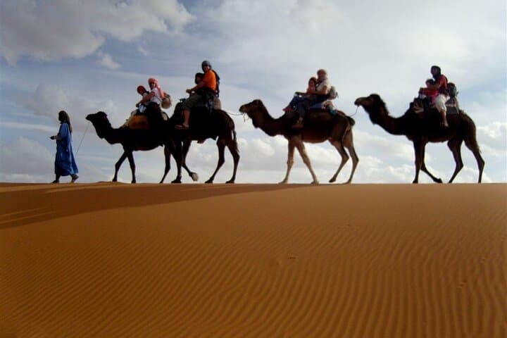 Agadir to Mini Sahara, Tiznit & Souss Estuary — Day Tour (8am–5pm) photo 4