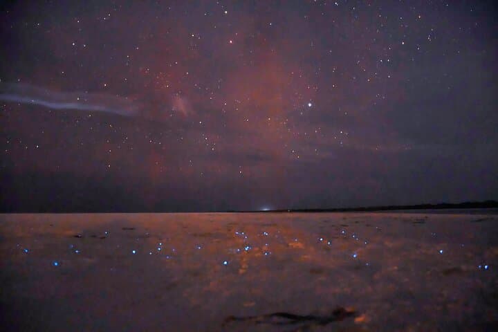 Holbox Night Kayak: Stargazing and Bioluminescence Adventure photo 2