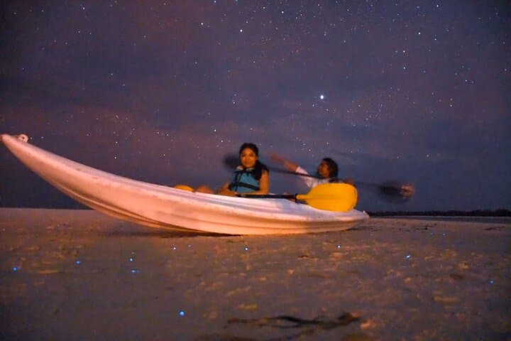 Holbox Night Kayak: Stargazing and Bioluminescence Adventure photo 3