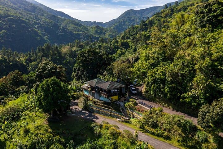 Blue Mountain Hike, Bike & Waterfall Tour with Coffee and Lunch photo 5