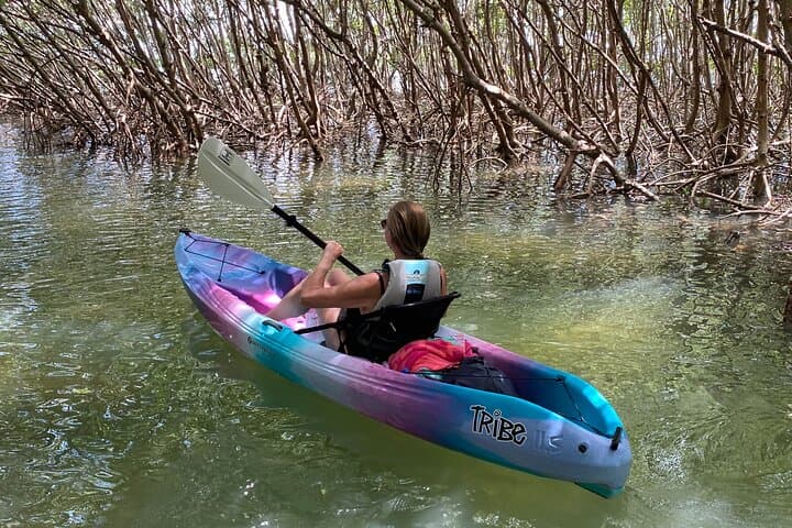 Guided Kayak Tour of Shell Key Preserve: Mangrove Tunnels, Seagrass & Beach Time photo 4