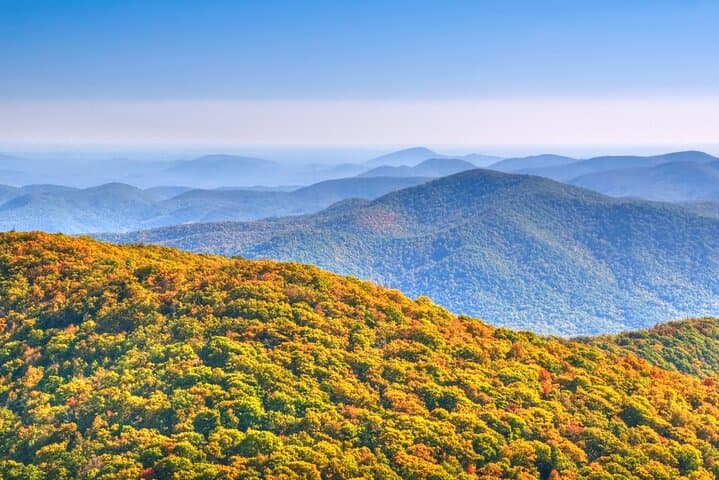Half-Day North Georgia Wine Tasting Tour from Atlanta