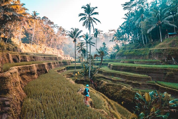 Ubud Day Trip: Rice Terraces, Temple Purification & Waterfall Adventure photo 2
