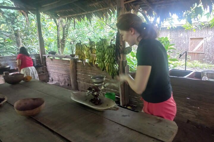 Bribri Magic: Chocolate Making and Waterfall Swim from Puerto Viejo photo 6