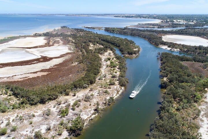 Murray River Lunch Cruise: Mandurah Scenic Buffet and Dolphin-Spotting Tour