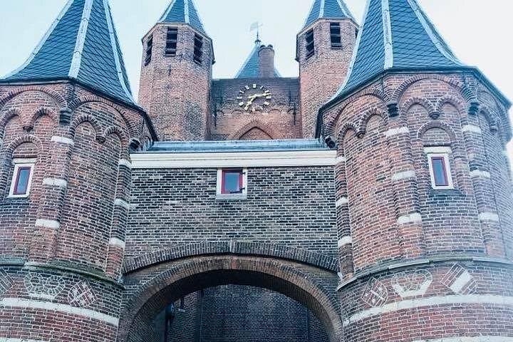 Haarlem to the North Sea: Coastal Dunes Bike Tour & National Park Picnic photo 4