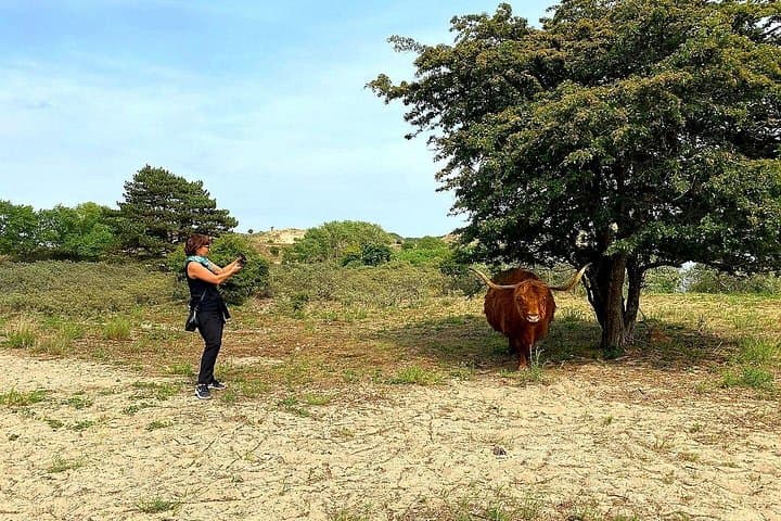 Haarlem to the North Sea: Coastal Dunes Bike Tour & National Park Picnic photo 1