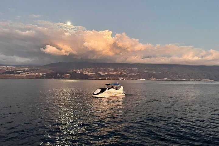 Northwest La Palma coastal boat trip: caves, cliffs & marine life photo 4