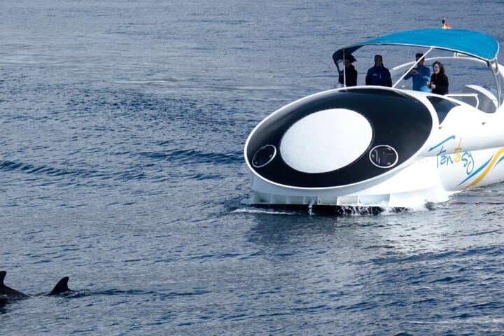 Northwest La Palma coastal boat trip: caves, cliffs & marine life