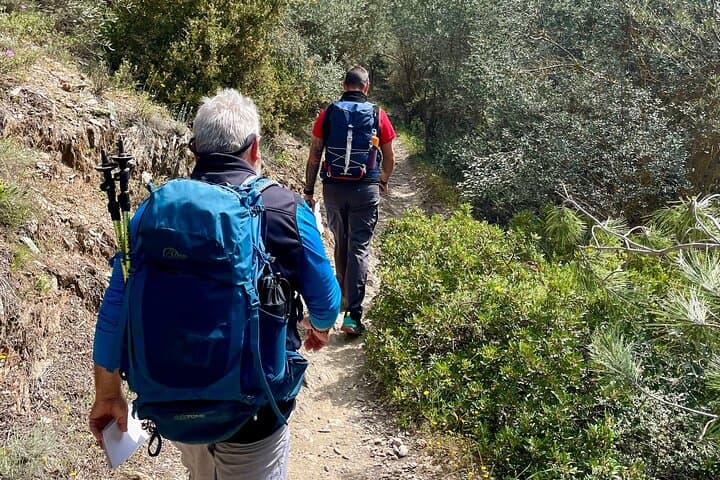 Byzantine Trail on Mount Ymittos: 3-Hour Private Hike from Athens
