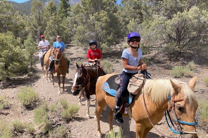 Las Vegas Mountain Horseback Riding Adventure on Mount Charleston photo 2
