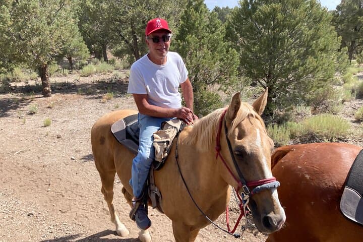 Las Vegas Mountain Horseback Riding Adventure on Mount Charleston photo 3
