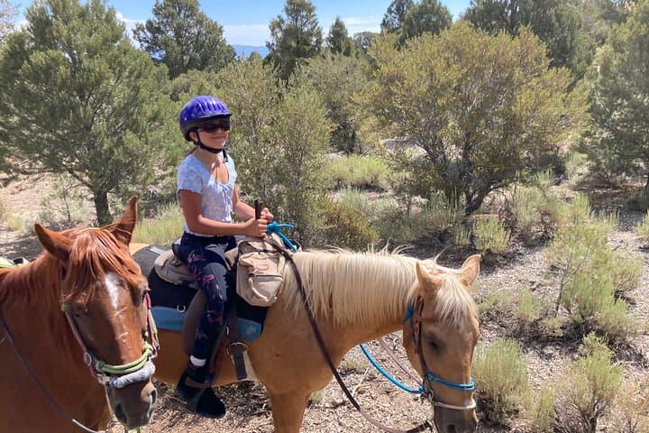 Las Vegas Mountain Horseback Riding Adventure on Mount Charleston photo 4
