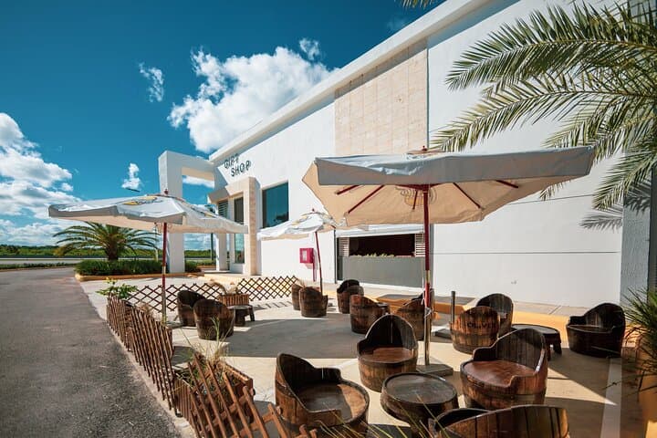 Punta Cana Shopping Tour: Sample Rums, Cigars & Local Chocolate with Resort Pickup photo 5