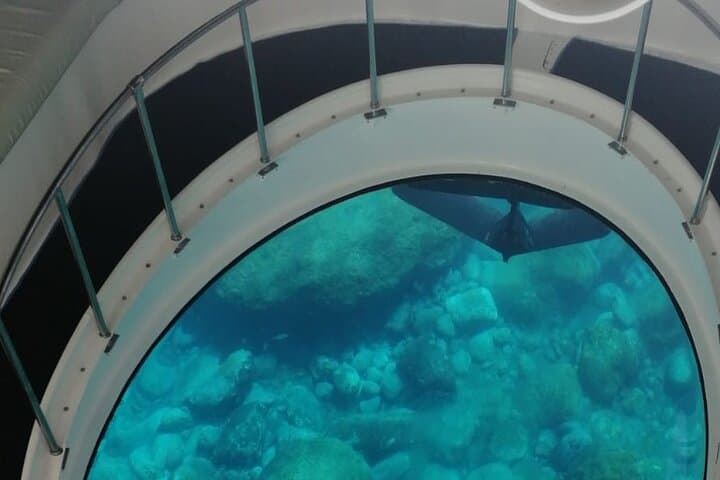 Northwest La Palma coastal boat trip: caves, cliffs & marine life photo 6