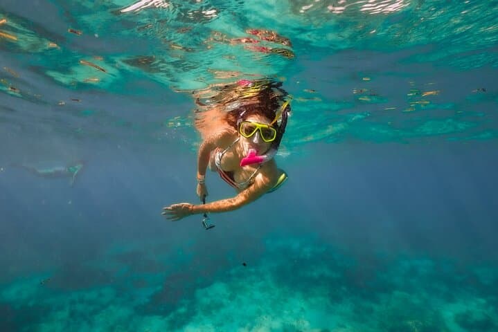 Isla Contoy and Isla Mujeres Day Trip from Cancun: Snorkel Reefs, Bird Colonies & Beach Lunch photo 5