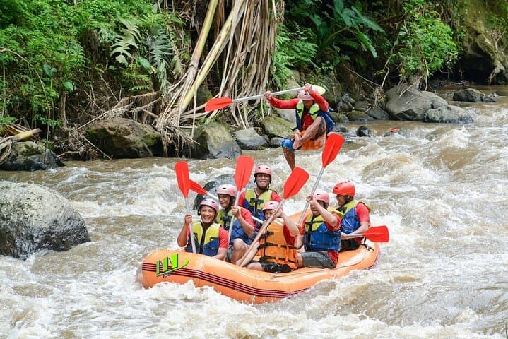 Ayung River White-Water Rafting in Bali: 11km Adventure from Ubud