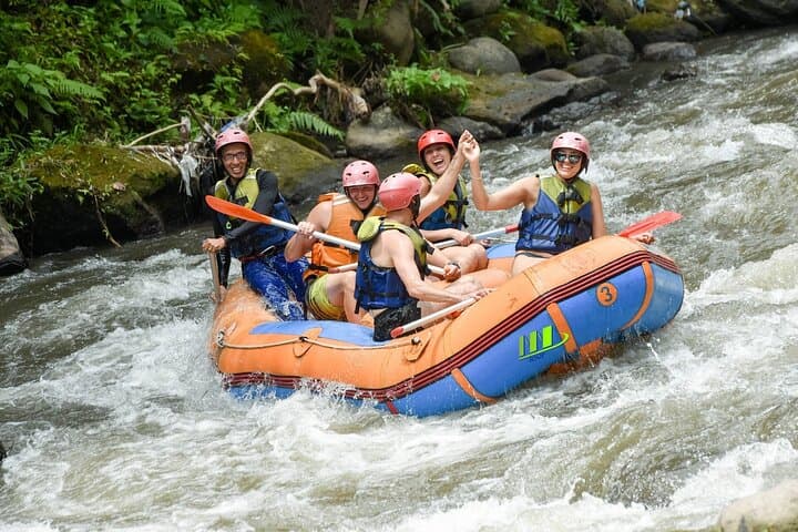 Ayung River White-Water Rafting in Bali: 11km Adventure from Ubud photo 3